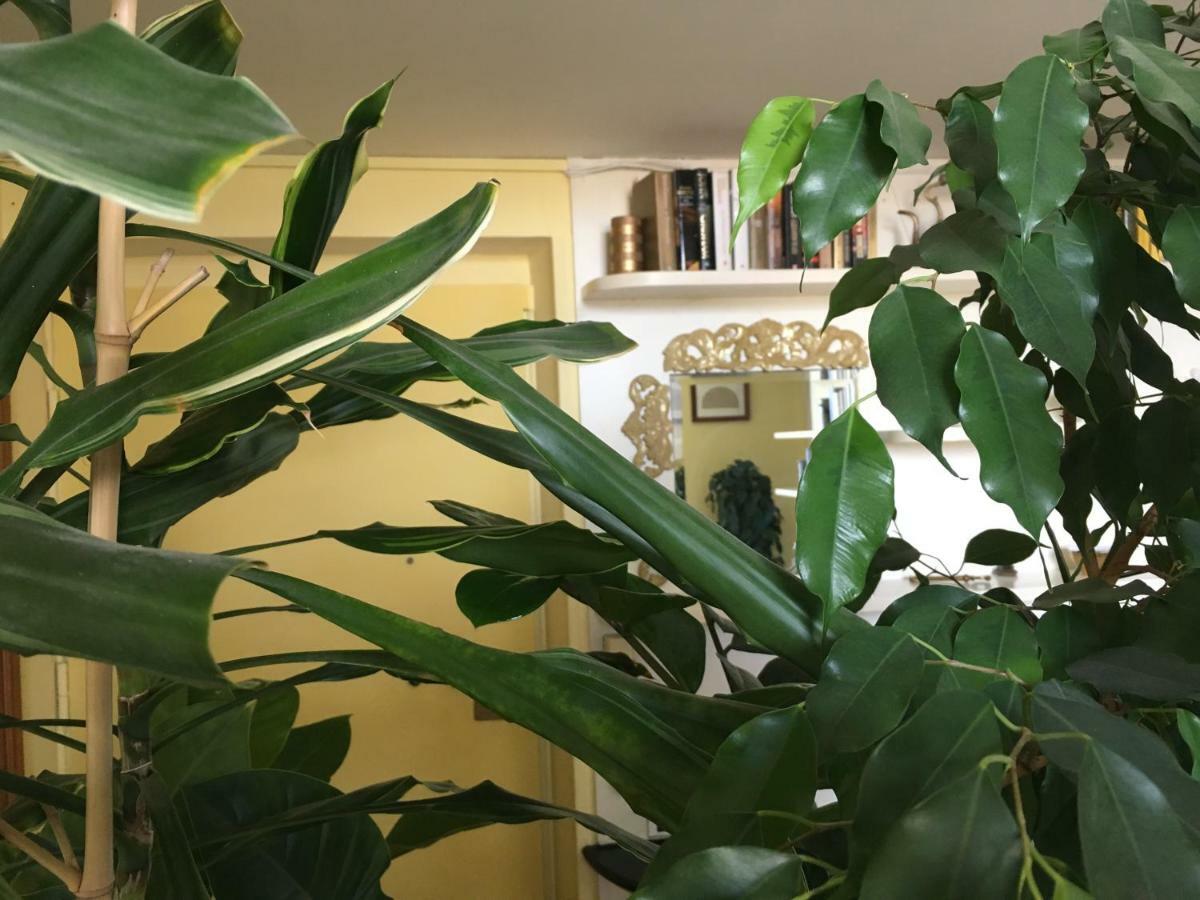 Apartament Finestra Su Genova Zewnętrze zdjęcie